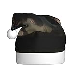 Scènes applicables : convient pour la décoration de Noël, les jeux de rôle de Noël, le Nouvel An, les fêtes d'anniversaire et de vacances, adapté pour prendre des photos de famille, laissant des souvenirs de Noël chaleureux chaque année.