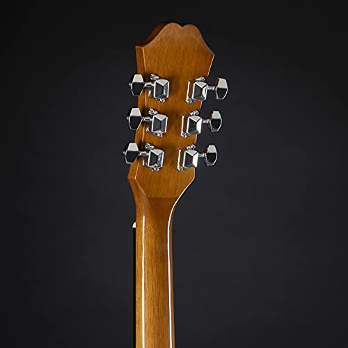 Image of Epiphone DR-100 6 Strings Right Handed Rose Wood Acoustic Guitar Natural