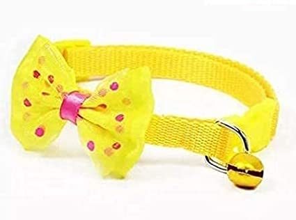 RvPaws Small Dog & Cat 10 mm Cute Bow-tie Nylon Adjustable Collar with Bell for All Breed Small Dog Pet Puppy Cat Kitty Nylon Collar. (Yellow). (B09P5FGRW2) Amazon Price History, Amazon Price Tracker