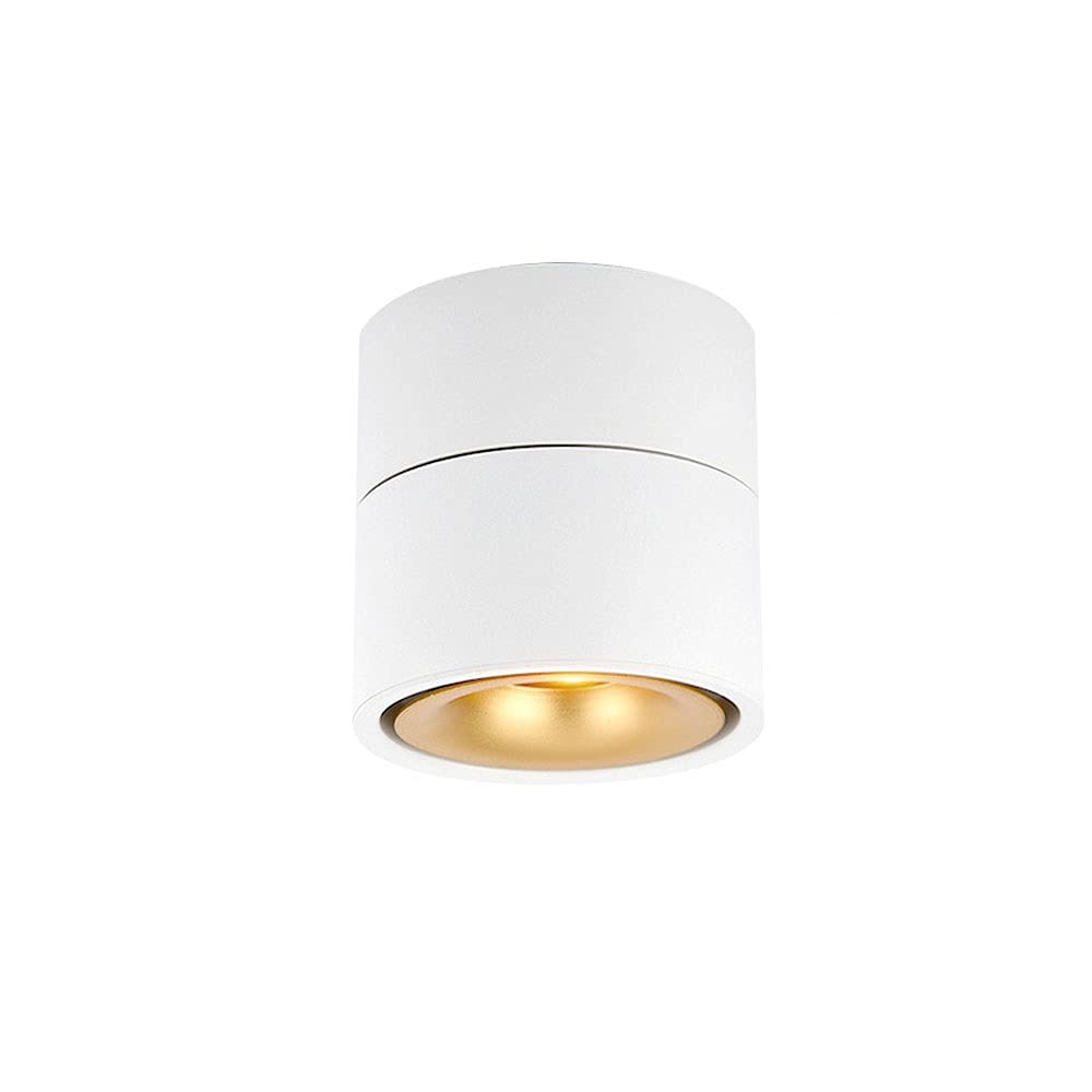 BHGFYXBS Indoor Ceiling Spotlight Adjustable Surface Mounted Spots Lighting Fixture, 7W Led Ceiling Downlight, Aluminum Directional Spotlights Accent Lamps For Kitchen Corridor,White4000k