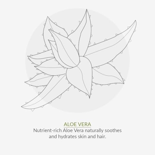 Green People Edelweiss SPF15 Sun Cream & After Sun - Natural, Organic Sunscreen with Tan Accelerator - Non Comedogenic, Reef Safe - 2x200ml