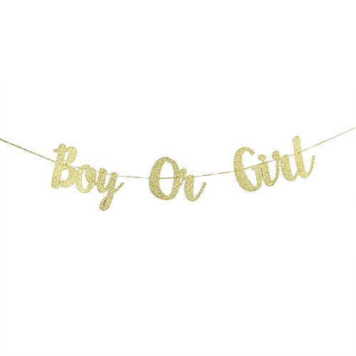 Karoo Jan Boy Or Girl Banner Gender Reveal Party Hung Bunting Pregnancy Announcement Gold Glitter De - //coolthings.us