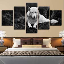 RDCHY Impression sur Toile Loup Blanc Tableau Peinture sur Toile Moderne pour Salon Appartement Chambre Décoration, 5 Pieces/sans Cadre Cover