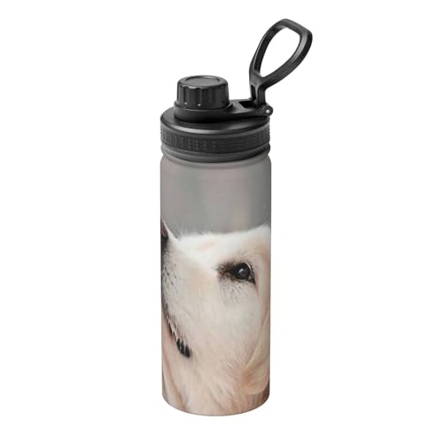 �Č� ���� ����(7) ���� �ۉ� �ۗ� 532ml 18oz �y�� �X�e�����X�{�g�� �n���h���t�� �^��f�M �R��Ȃ� �n���h���t �ʋ� �ʊw �j�̎q ���̎q ��l �q���p �W�t�� ���蕨