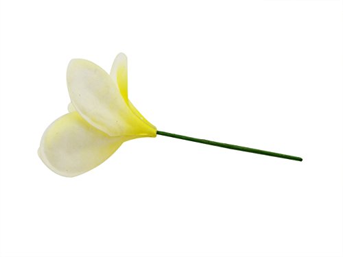 Winterworm Bunch Of 10 Pu Real Touch Lifelike Artificial Plumeria Frangipani Flower Bouquets Wedding Home Party Decoration (Light Yellow) #TOP1