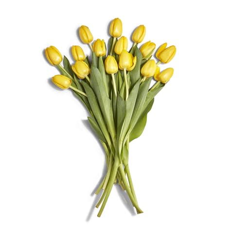Floral Yellow Tulips 15 Stem