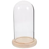 ULTECHNOVO de Vidrio Transparente con Base para Flores Preservadas Decoración Creativa para Centros de Mesa Campana Decorativa Resistente y Elegante Micro Paisajes y Velas
