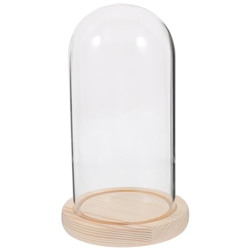 ULTECHNOVO de Vidrio Transparente con Base para Flores Preservadas Decoración Creativa para Centros de Mesa Campana Decorativa Resistente y Elegante Micro Paisajes y Velas