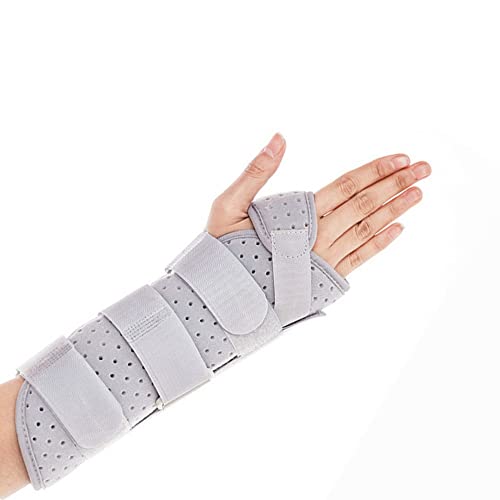 ewT|[gXvgu[XAʋĈT|[gu[XXvgAÎ̎̕qP܁A荪ǂ̋@\T|[g(J[: MATCY: E)