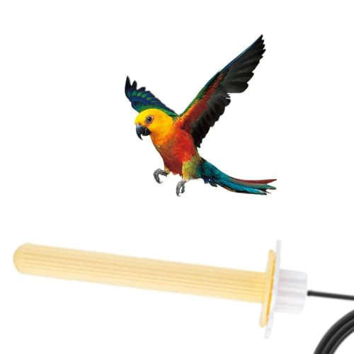 Aquecedor para pássaros, suporte para s, aquecedor para gaiolas de pássaros, suporte para pássaros,