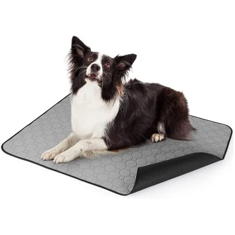 Empapadores de adiestramiento Pecute reutilizables Cover