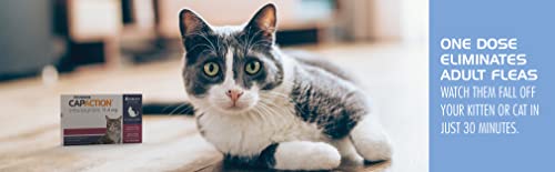 PetArmor CAPACTION (nitenpyram) Oral Flea Treatment for Cats, Fast Acting Tablets Start Killing Fleas in 30 Minutes… - Image 5
