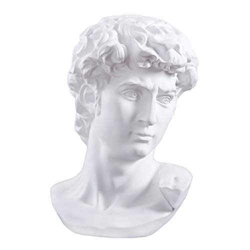 Cozylkx 11.4 Inch Premium Resin Greek Michelangelo David Bust Statue Replica Sculpture Home Art Decor, White #TOP26