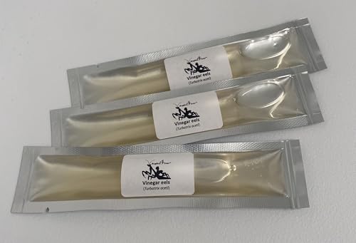 BugBoy4Ever Three (3) Live Vinegar EEL (Turbatrix aceti) Starter Cultures - Cultured in Apple Cider Vinegar (with Live Mother)