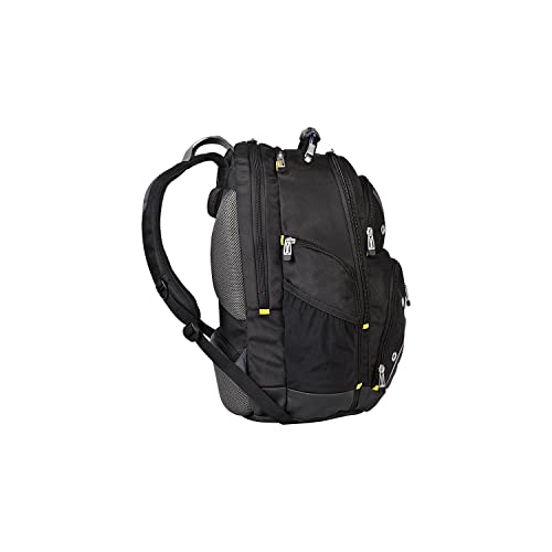 https://m.media-amazon.com/images/I/310VRcz4ASL._SL500_.jpg