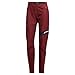 Adidas Terrex TECHROCK Primeknit Rain.RDY - Women's Trousers, Shadow Red, Size L