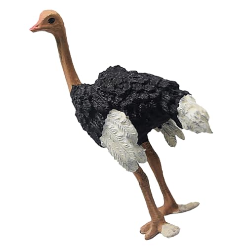 Qudinip Figura de Avestruz Realista, Modelo de Juguete de Animales de Vida Silvestre Realista con Diseño Inspirado en Enciclopedia, para el Juego Educativo y el Aprendizaje de los Niños