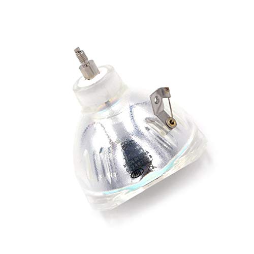 SDPOLHYGF Lámpara de proyector de Repuesto Bombilla Desnuda Compatible LMP H160 FIT para los proyectores Sony VPL AW10 / VPL AW15 / VPL AW10S Bombilla para proyector