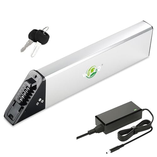 Batterie lithium 48V haute capacité pour la performance durable des vélos électriques
