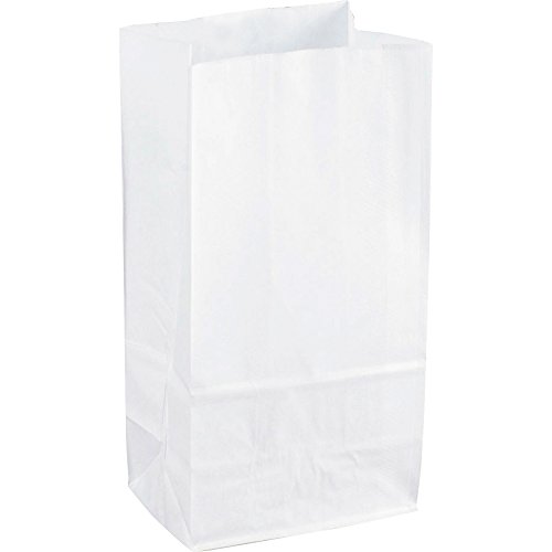 Sparco 99828 White Kraft Paper Bags (Pack of 12)