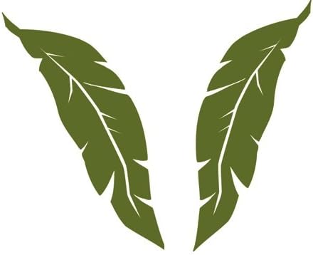 5 piezas de hojas de palmera tropical, hojas, palmeras, isla Fronds, playa, océano, mar, despegar removible, autoadhesiva, vinilo, decorativo,