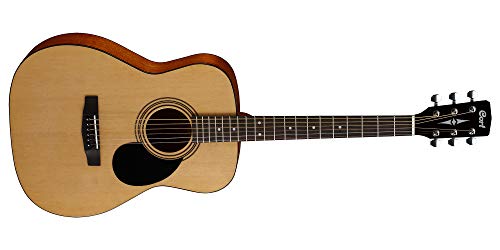 Con borsa Chitarra acustica