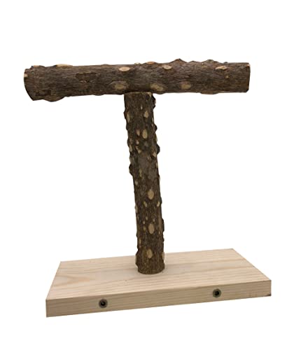 Image of YTLS Tee Bird Tabletop Training Stand，Portable Parrot Play Stands, Natural Wood Bird Cage Toys Gym Playground Cockatiel Playground Wood Perch Gym Playpen for Small Medium Parakeets Conures Lovebirds