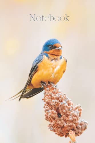 Notebook: Beautiful lined and dot grid journal for the bird and nature lover. Perfect for taking notes, journaling and sketching. Small format (6x9 inch), 240 pages total (120 lined and 120 dot grid).