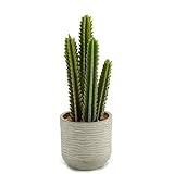 Material/Cubierta de pvc CABLEPELADO Planta de plastico Cactus Alto Espinas 40 cm Verde