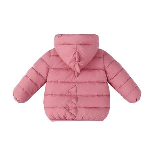 wodceeke Dinosaur Puffer Jacket for Toddler Boys Girls Kids Down Coats Winter Warm Hooded Padded Bubble Outwear 2-7 Years4