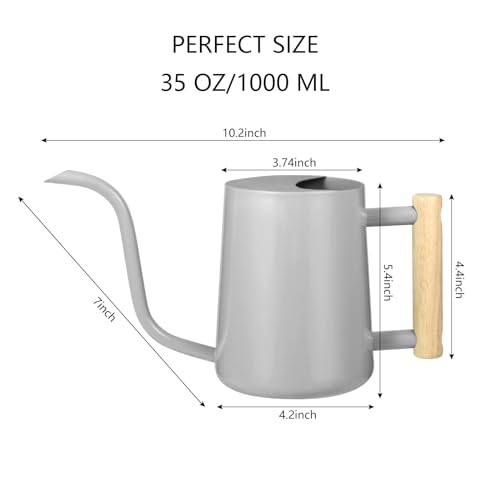 Image of Watering Can Indoor Plants, 35oz Small Indoor Stainless Steel Metal Watering Can Modern Decorative Watering Pot with Long Spout for Indoor House Plant Bonsai Garden Flowers (Gray)
