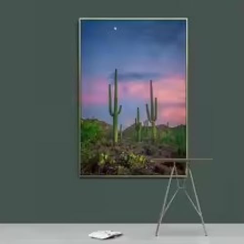 Images sur toile grand format pour habiller un mur vide avec cadre inclus 80x140cm