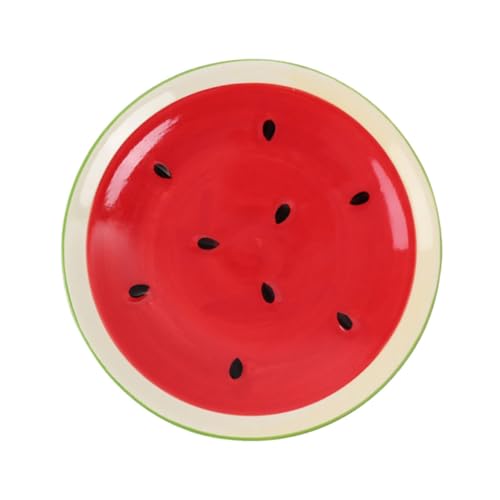 Homoyoyo Plato de Japonés para Postres y Almacenamiento Diseño Creativo Superficie Lisa y Fácil de Limpiar para Hogar y Decoración Familiar