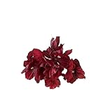 Genérico Accesorio Cabello Flor Guofeng Rojo Vino - Novia Qipao | Rojo Vino | Novias Guofeng | Bodas, Regalo