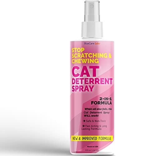 10 Best No Scratch Spray For Cats Expert Reviews in 2022