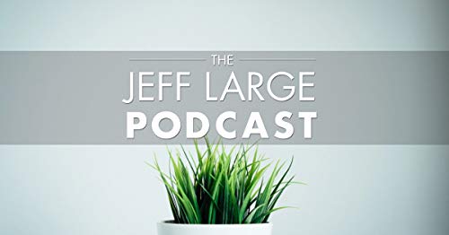 Matt Johnson | Become MicroFamous: Niche Down for Entrepreneurial Success Podcast Por  arte de portada