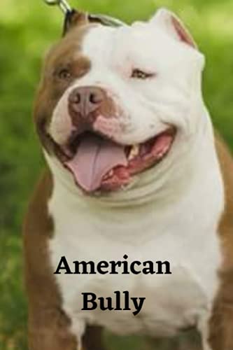  AMERICAN BULLY: A LINED NOTEBOOK & JOURNAL: An Awesome American Bully Notebook With Lined Interior Paperback