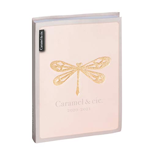 Télécharger Exacompta 1801042E Agenda Forum 1 Jour par Page Août 2020 Juillet 2021 12 cm x 17 cm Caramel&cie Li livre En ligne