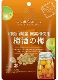 ニッポンエール 和歌山県産南高梅使用 梅