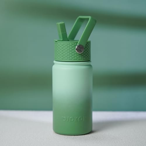 Image of BJPKPK Insulated Water Bottle, 15oz Stainless Steel with Straw Lid