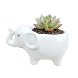 SJBAG Cute Animal Elephant Shaped Ceramic Succulent Cactus Air Plant Flower Pots Planters-Plant Not Included (5" White)