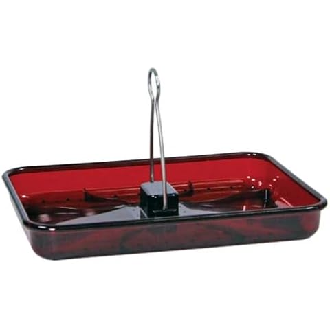 Stokes Select Platform Bird Feeder, 2.3 lb Capacity Cover