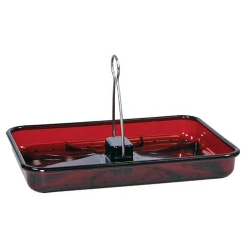 Stokes Select Platform Bird Feeder, 2.3 lb Capacity