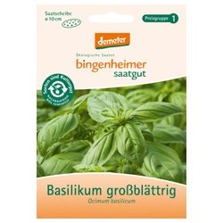 Basilikum pflanzen Klassiker der mediterranen Kräuter