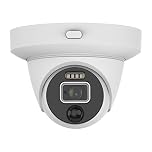 Swann Add-On DVR Dome Security Camera with Sensor Spotlight, Flashing Lights, 1080p Full HD Video, Indoor or Outdoor design, Colour Night Vision plus True Detect Heat & Motion Detection