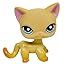 Cat #339 Cat #339