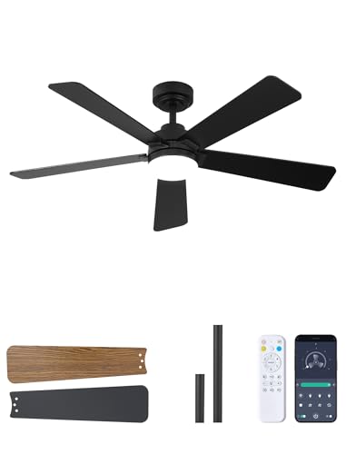 Dolavast - Ventilador de techo de 48 pulgadas con luces y mando a distancia, montaje de barra bajante, techo inclinado compatible hasta 15°, motor CC reversible silencioso, LED regulable de 3CCT