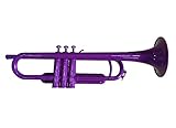 Legislación del producto Tiger/Kingston Trompeta si bemol de plástico color morado