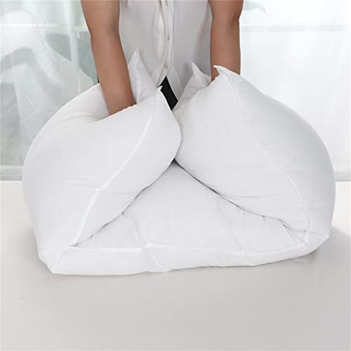 FUYAO Coussin de Corps Anime, Coussin de Sommeil Long 60x180cm, Coussin de Corps câlin Dakimakura, Coussin de Corps Anime Confortable et Moelleux