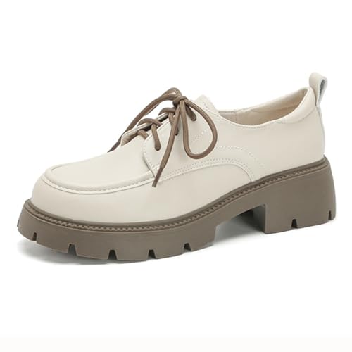 [QJCLEAN] [XAbv [t@[ fB[X 5cm wC q ₷ Vv ₷ r _炩 h h ʋ ʊw rWlX ItBX (x[W, {̌C̃TCY@, l, l, 24.0 cm)